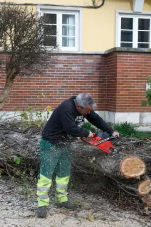 Região Oeste com 226 deslocados e 35 desalojados desde 28 de janeiro
